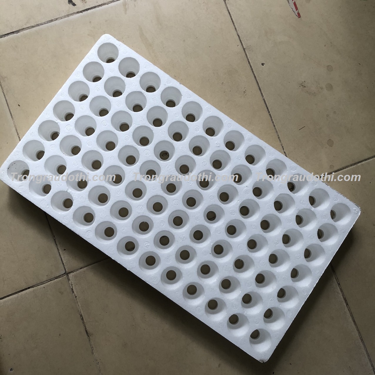 Khay xốp ươm cây giống 84 lỗ, siêu bền và chắc chắn